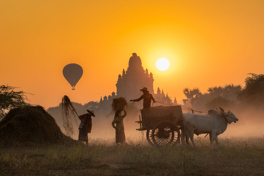 Надежда Николаева
<br><br>
<b>Культура и Ремесло Мьянмы</b>