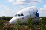 Носовая часть самолета Airbus A321 на месте аварийной посадки в кукурузном поле в районе деревни Рыбаки Раменского района
