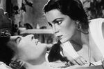 Кадр из фильма «Тихий Дон» (1957) 