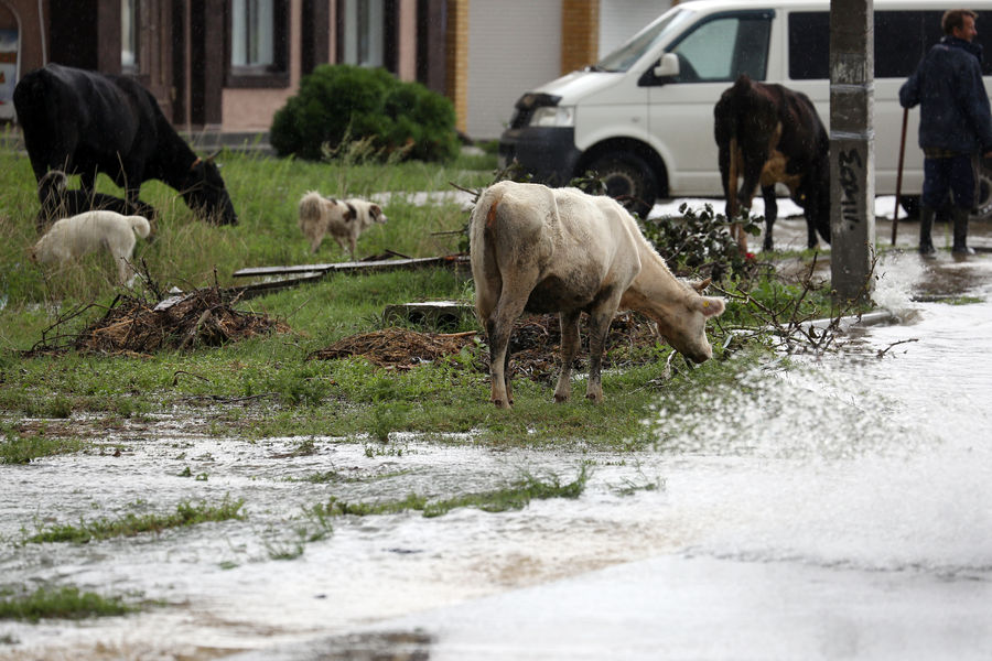 Последствия ливней в&nbsp;станице Голубицкая в&nbsp;Краснодарском крае, 14&nbsp;августа 2021&nbsp;года
