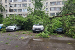 Последствия сильного дождя в Москве, 20 июня 2024 года