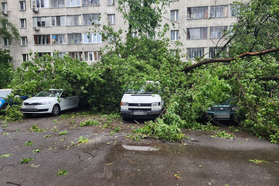 Последствия сильного дождя в&nbsp;Москве, 20&nbsp;июня 2024&nbsp;года