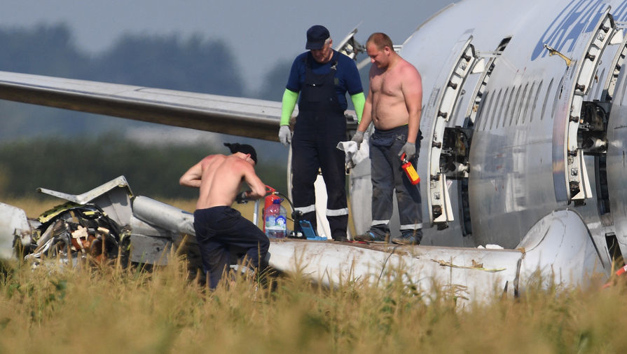 Работы по подготовке вывоза самолета Airbus A321 с места аварийной посадки в кукурузном поле в районе деревни Рыбаки Раменского района