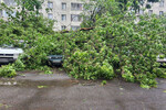 Последствия сильного дождя в Москве, 20 июня 2024 года