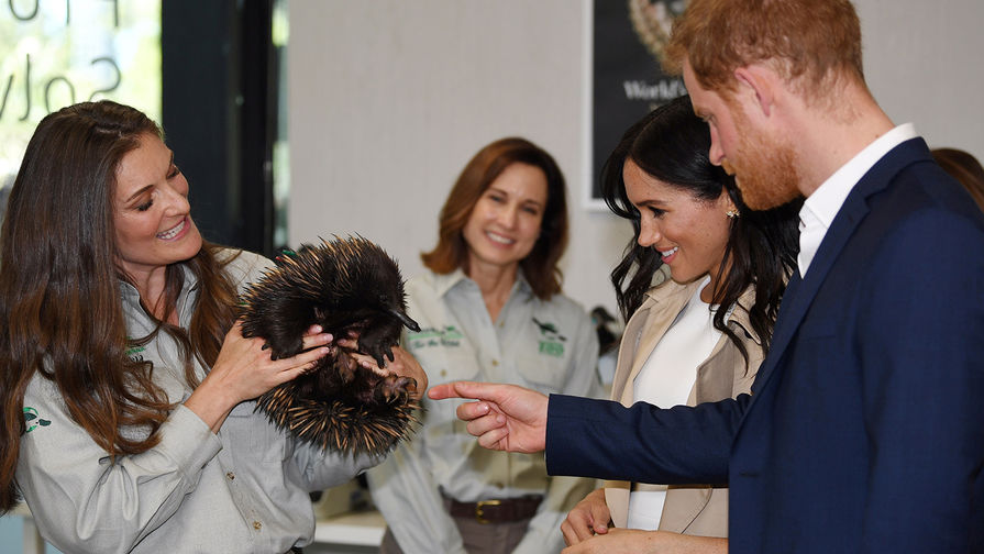 Герцогиня Сассекская Маркл и принц Гарри Уэльский с&nbsp;ехидной в&nbsp;зоопарке Сиднея во время визита в&nbsp;Австралию, 16 октября 2018 года