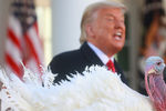 Президент США Дональд Трамп во время церемонии помилования в Белом доме, 24 ноября 2020 года