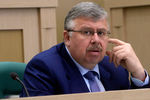 Андрей Бельянинов во время «правительственного часа» на заседании Совета Федерации РФ, 2015 год