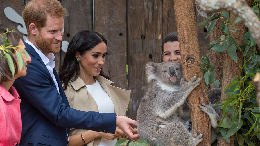 Принц Гарри Уэльский и герцогиня Сассекская Маркл с&nbsp;коалой Руби в&nbsp;зоопарке Сиднея во время визита в&nbsp;Австралию, 16 октября 2018 года