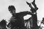 Юрий Яковлев в сцене из фильма «Необыкновенное лето», 1956 год