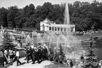 Вид на фонтанты в Петергофе, 1967 год