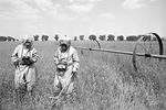 Дозиметристы в специальных костюмах проводят контроль радиации на полях в районе аварии на Чернобыльской АЭС