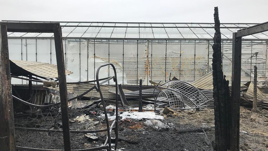 Последствия пожара на территории тепличного комплекса в деревне Нестерово в Московской области, 7 января 2020 года