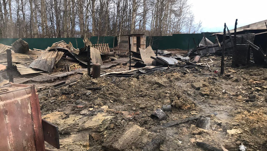 Последствия пожара на территории тепличного комплекса в деревне Нестерово в Московской области, 7 января 2020 года