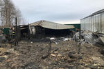 Последствия пожара на территории тепличного комплекса в деревне Нестерово в Московской области, 7 января 2020 года