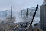 Последствия пожара на территории тепличного комплекса в деревне Нестерово в Московской области, 7 января 2020 года