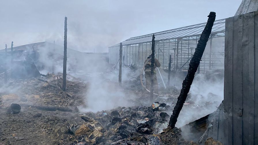 Последствия пожара на территории тепличного комплекса в деревне Нестерово в Московской области, 7 января 2020 года